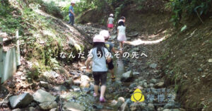 社会福祉法人檸檬会が運営する保育所の保育の様子